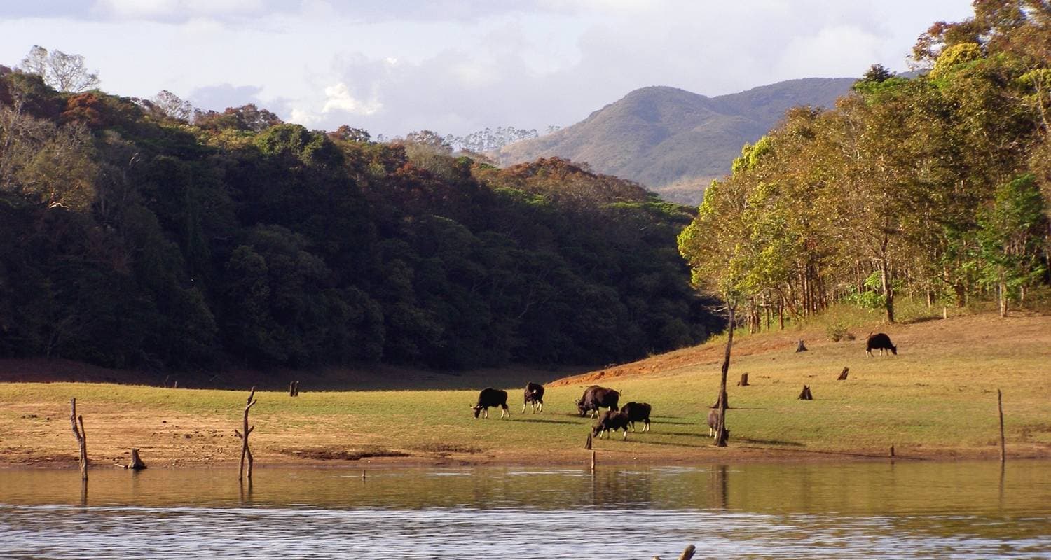 Kerala 10 Days Tour