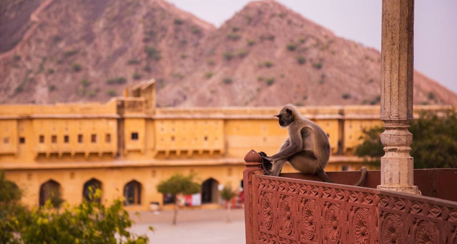 North India Highlights