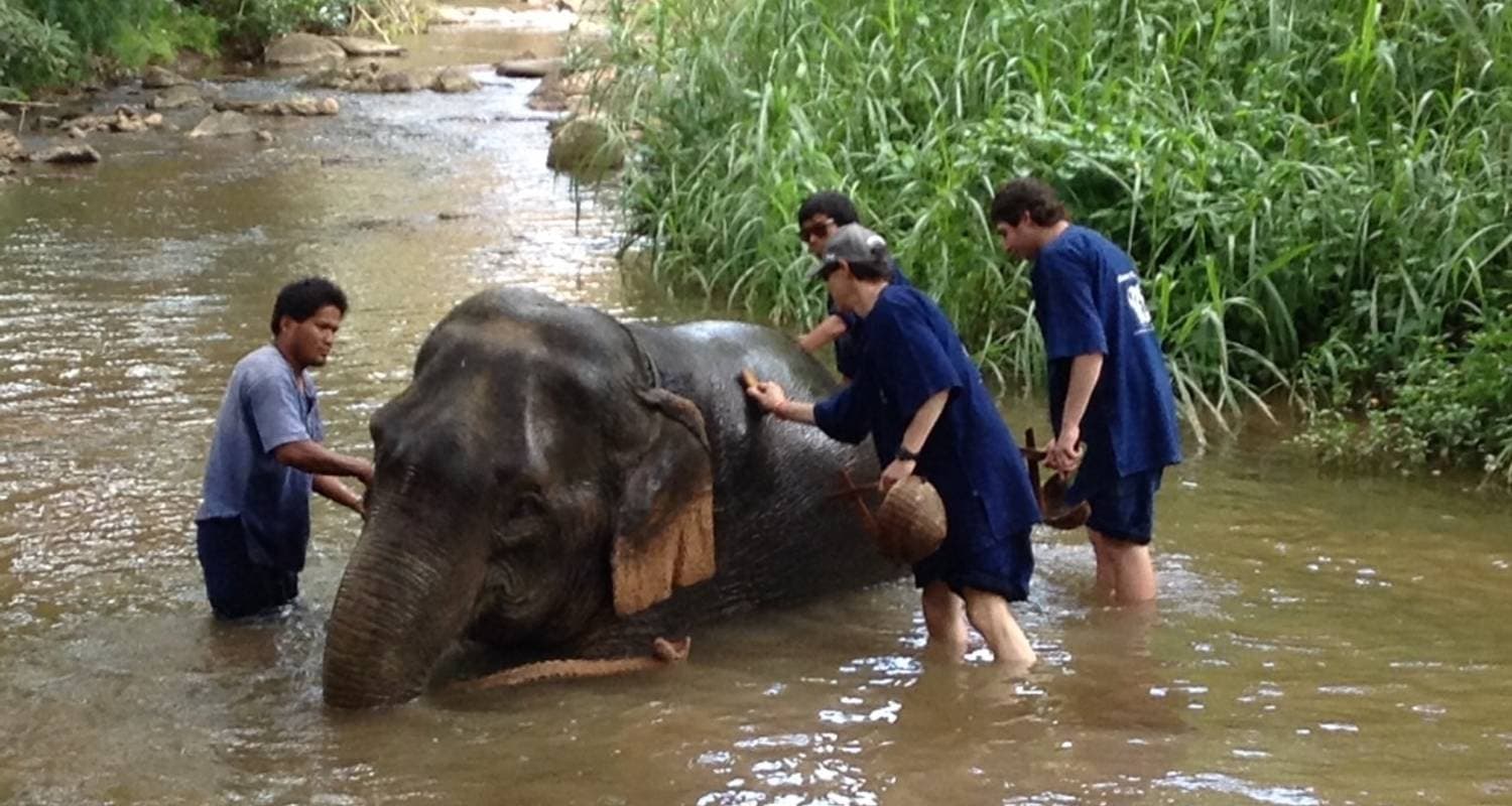 Experience real Bangkok & Chiang mai , Small Group