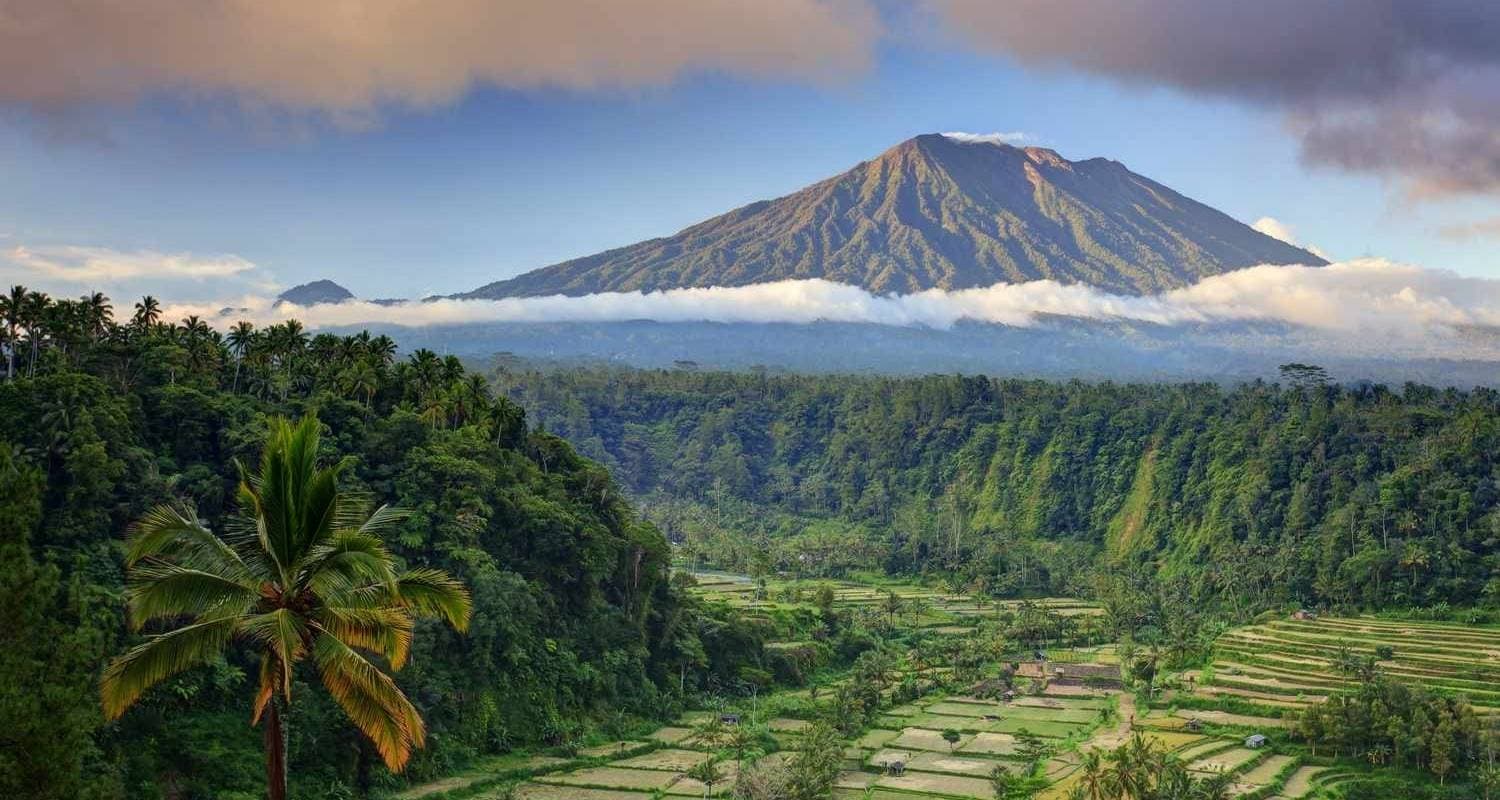 Bali Natural & Cultural Immersion Tour