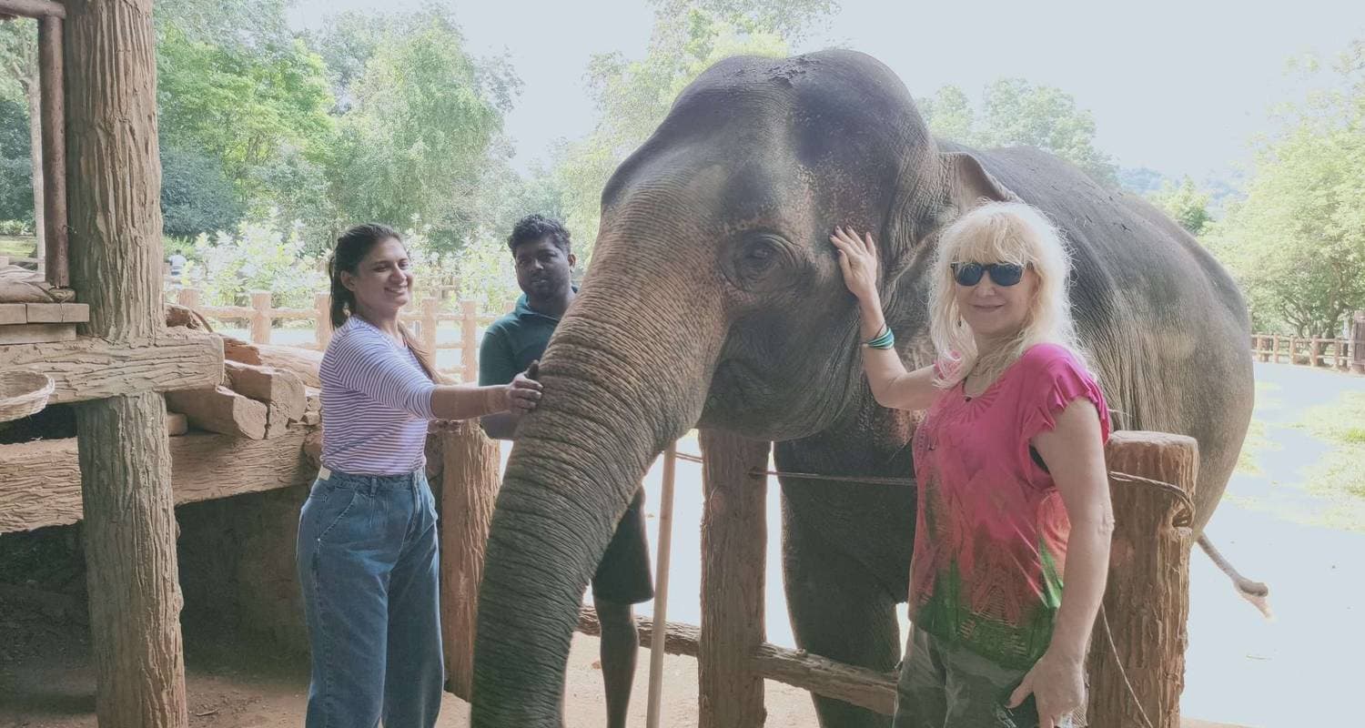 Essential Sri Lanka 7 Day Private Car Tour