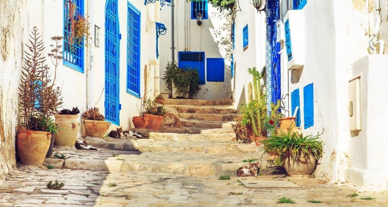 Immersive Tunisia, Small Group Tour