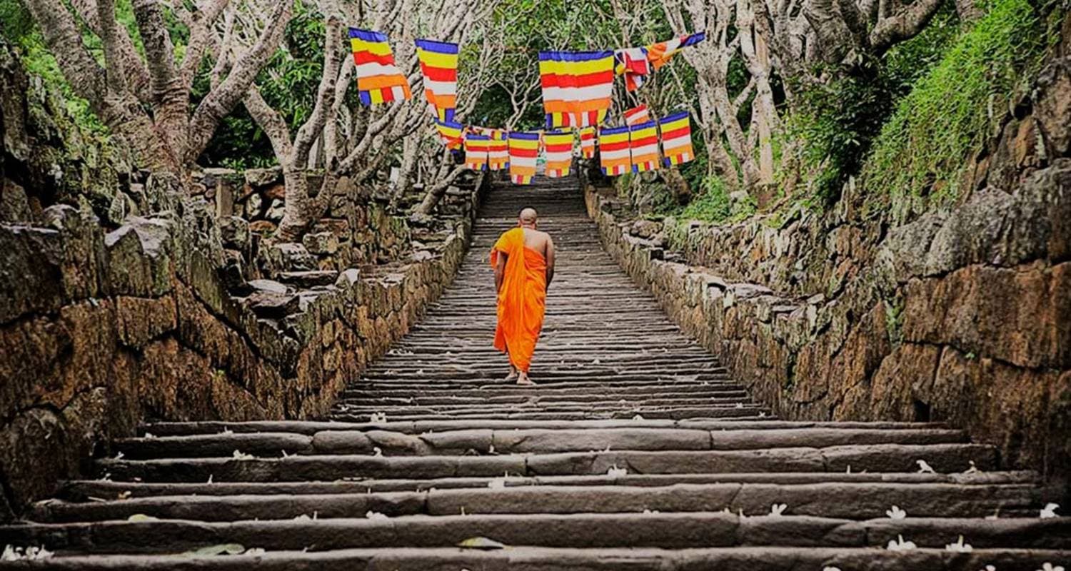 The Sri Lanka Explorer
