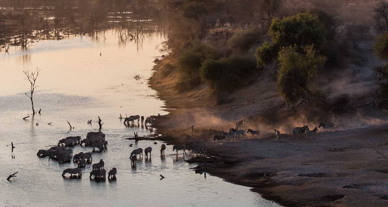 Boteti, Moremi, Khwai Safari — photo 2