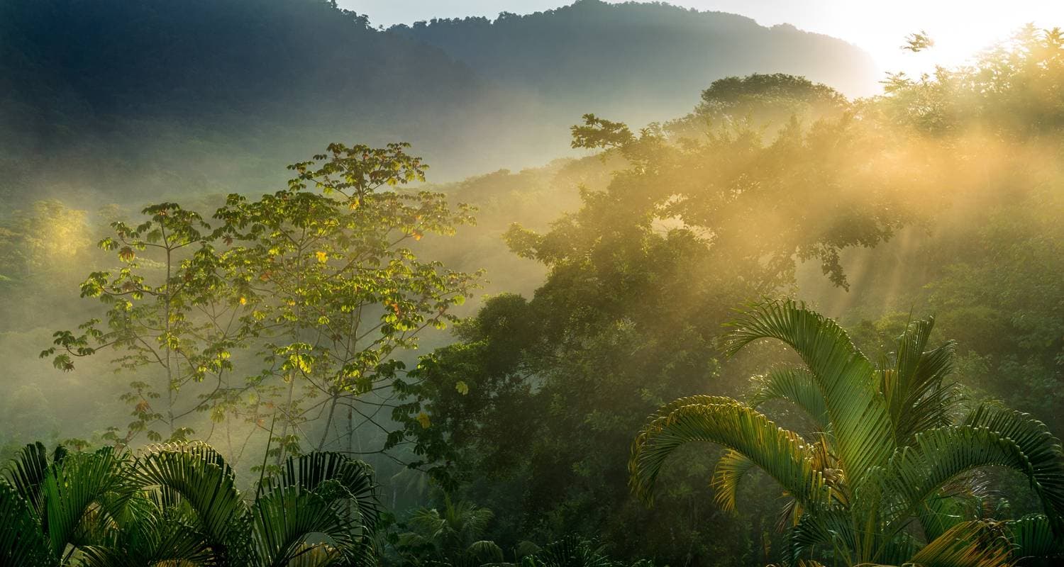 Costa Rica Wildlife Exploration