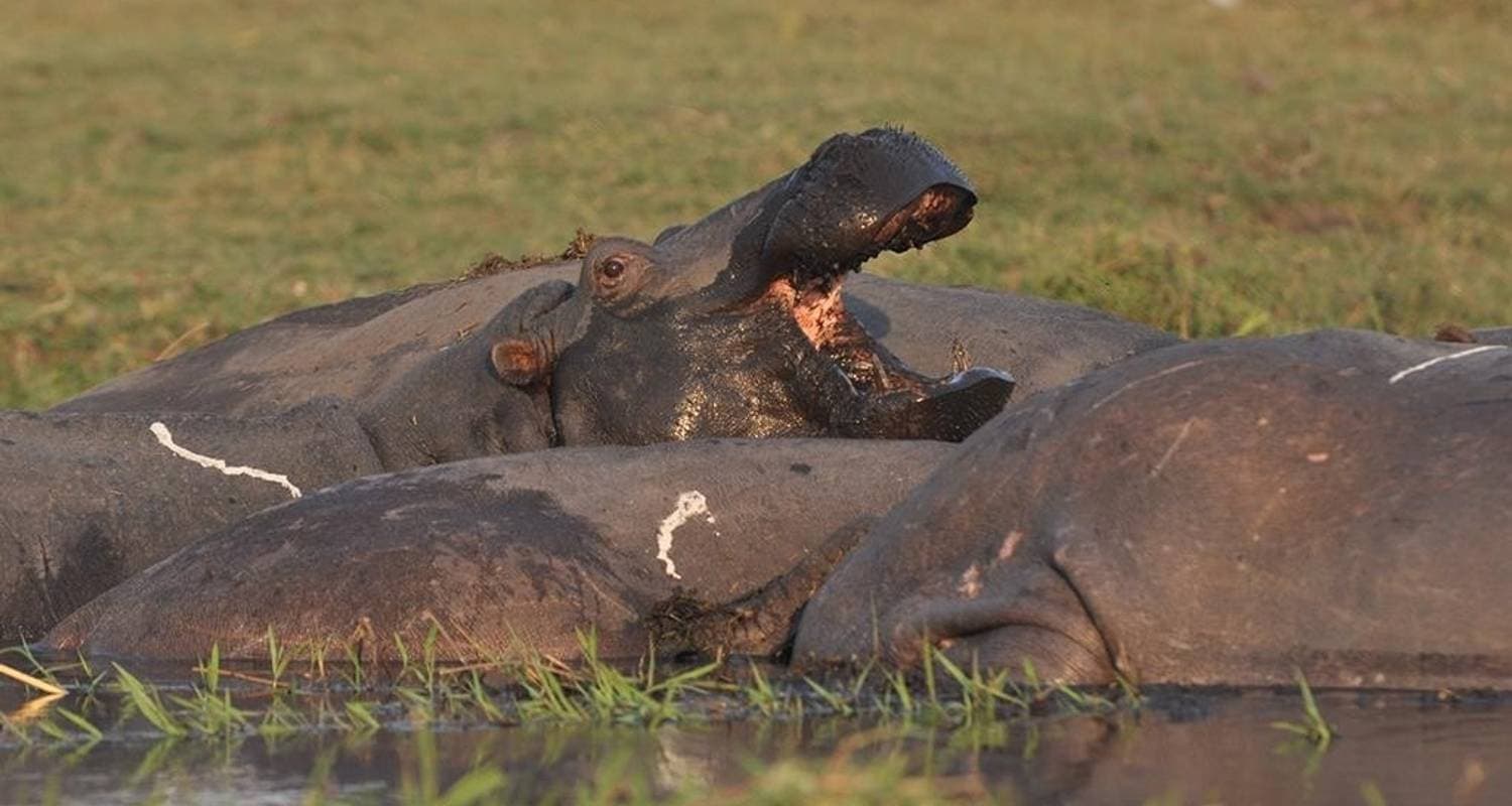 Victoria Falls & Chobe Adventure 4D/3N (from Victoria Falls)