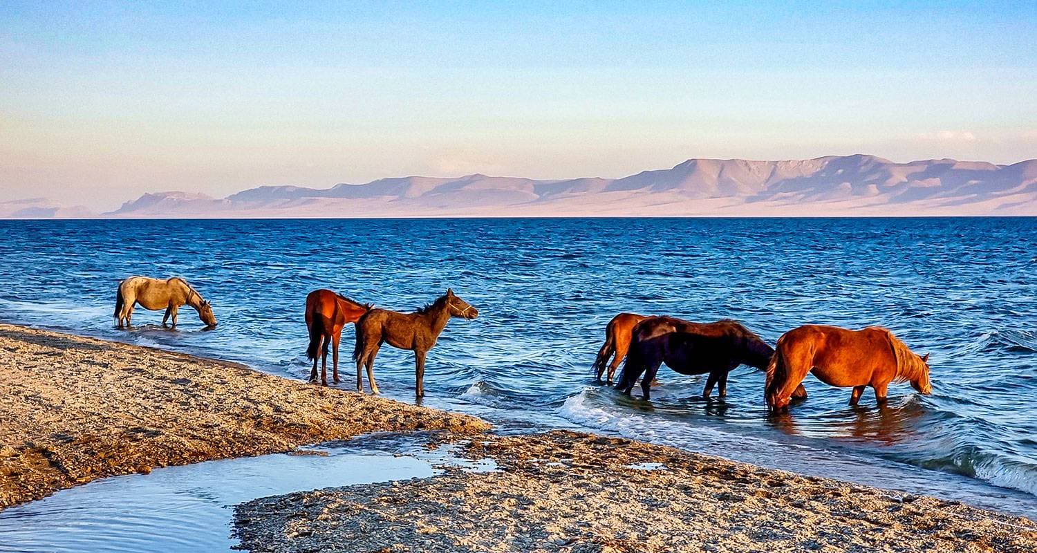 Customized 11 Days Kyrgyzstan Adventure, Private Guide & Daily Start