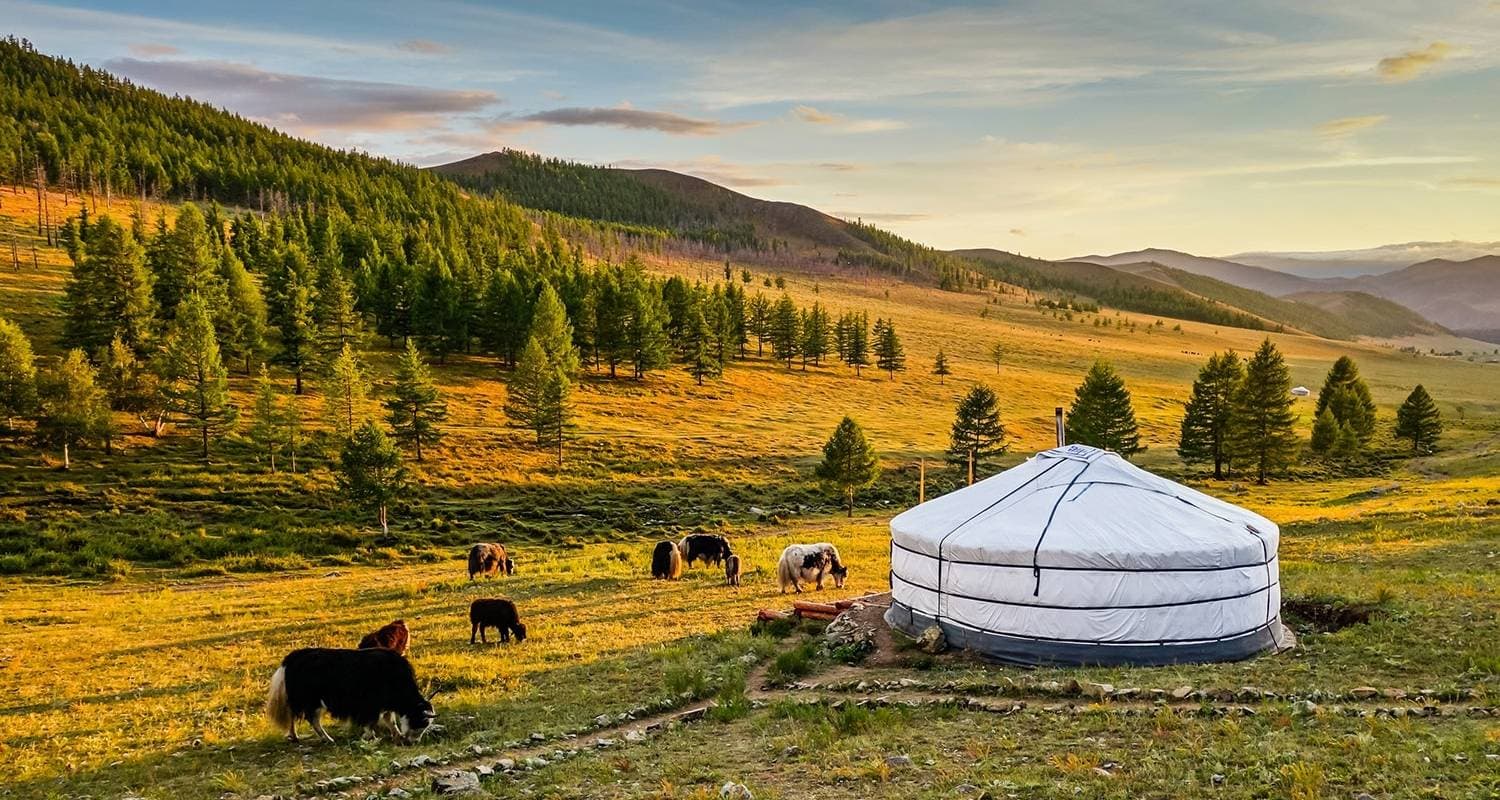 Customized 2 Weeks Mongolia Vacation with Private Guide & Driver