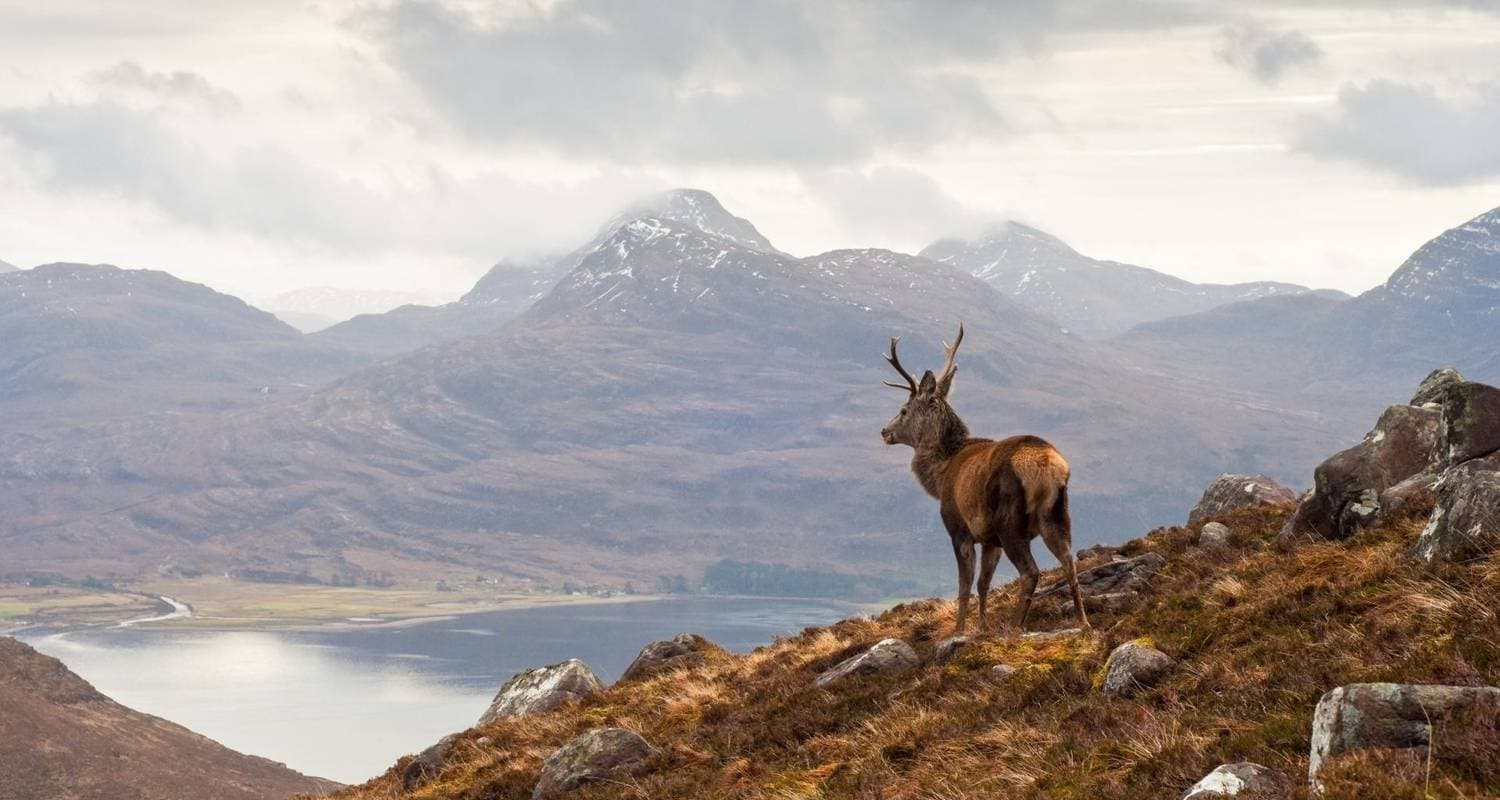 NC500 Road Trip - Self Drive Tour