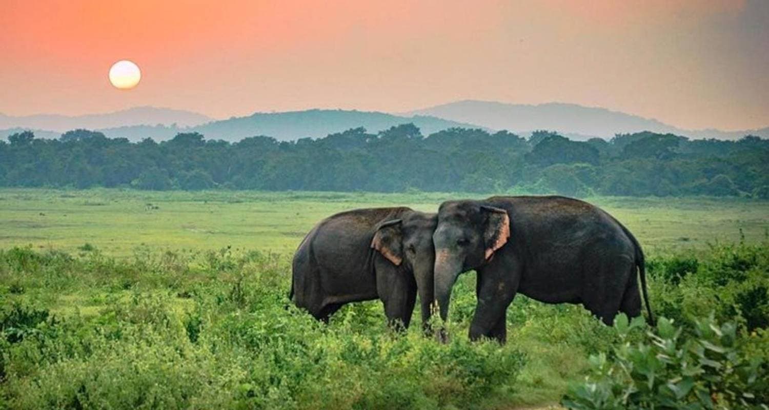 Sri Lanka; Explore Tropical Heaven