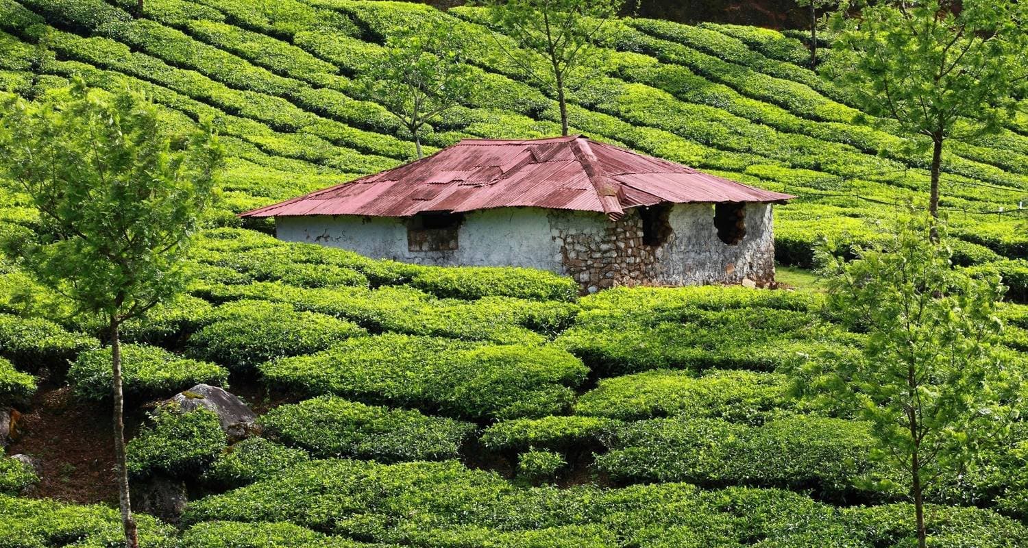 Tour to Kerala