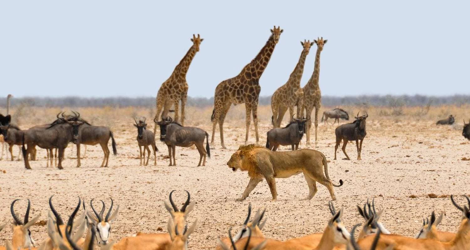 Namibia in Plus | Private Guided Lodge