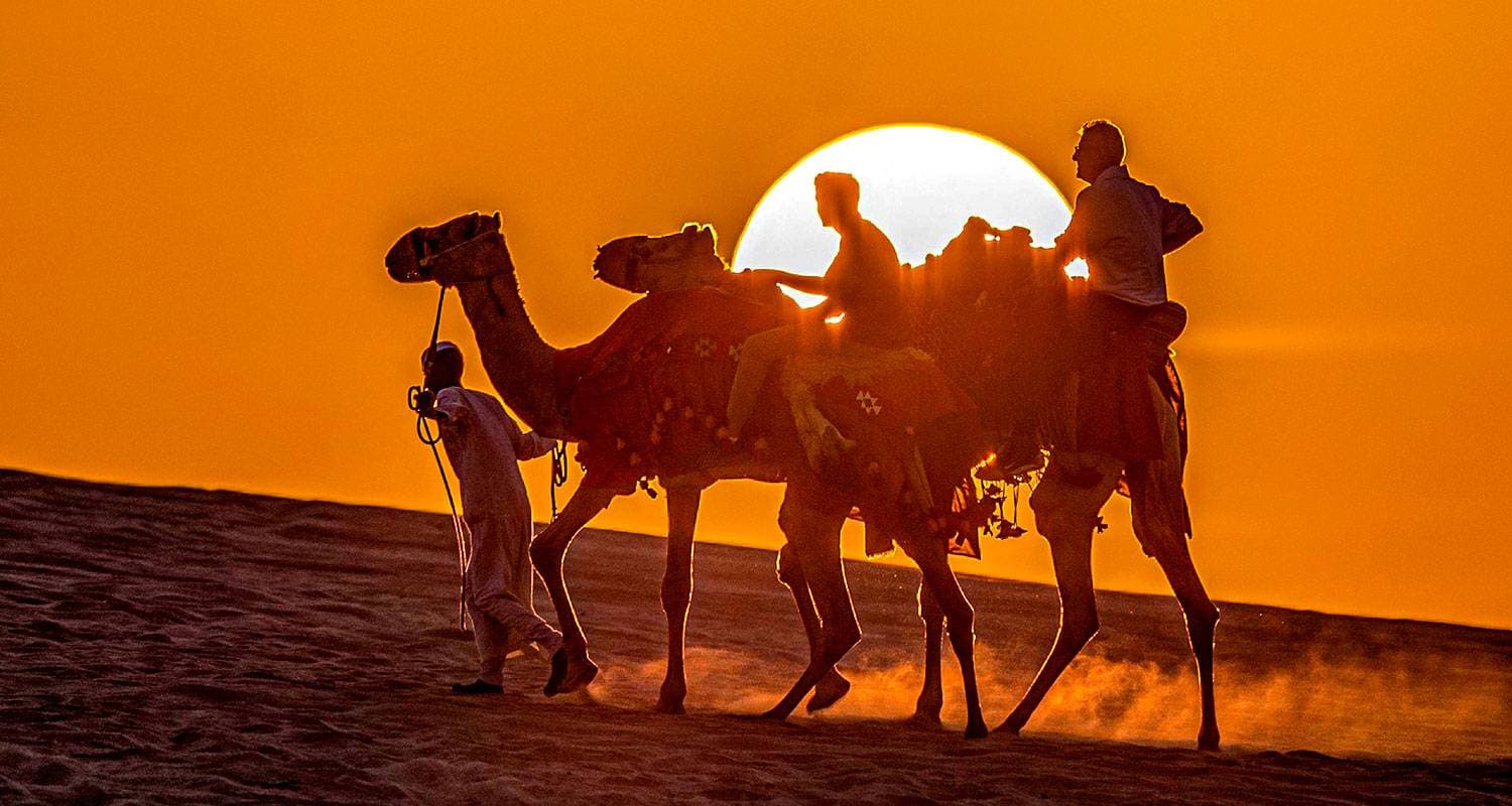 Tailor-Made 4 Days Private Qatar Tour with Desert Safari, Daily Depart & Private Car