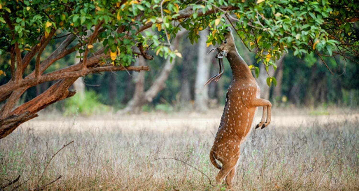 Golden Triangle Tour with Mumbai, From New Delhi Airport