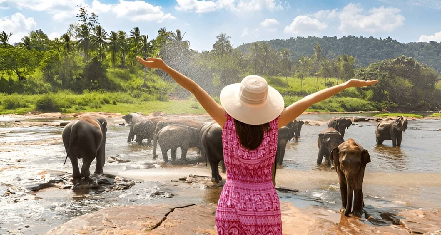 Explore Taj Mahal With Elephant SOS Wildlife Rescue Tour from Delhi