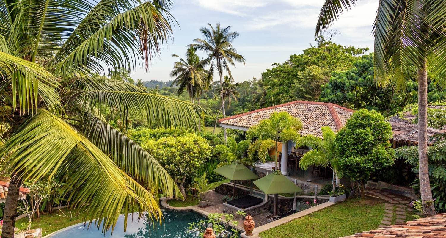 Highlights of Sri Lanka (Private Premium Tour) — photo 2