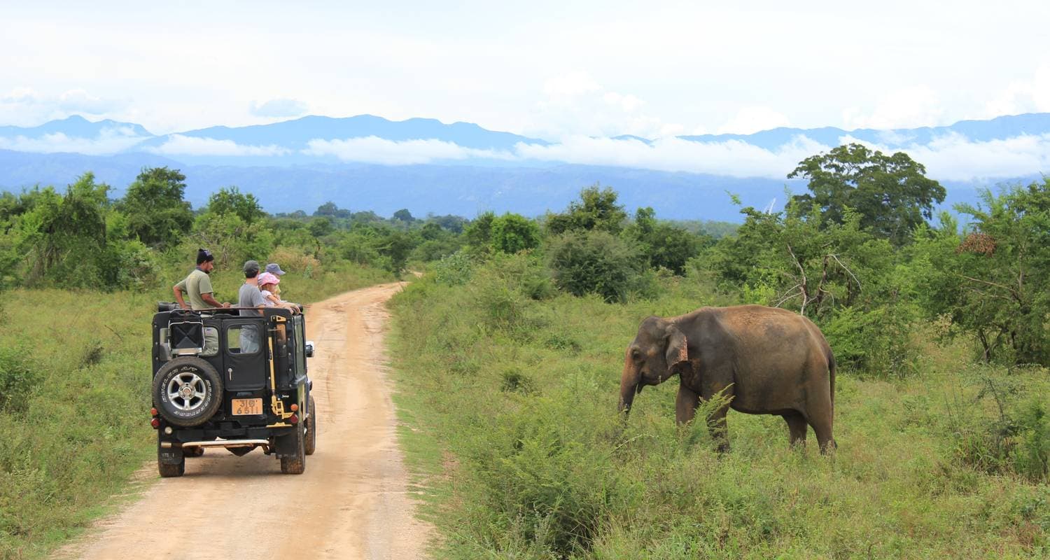 Highlights of Sri Lanka — photo 2