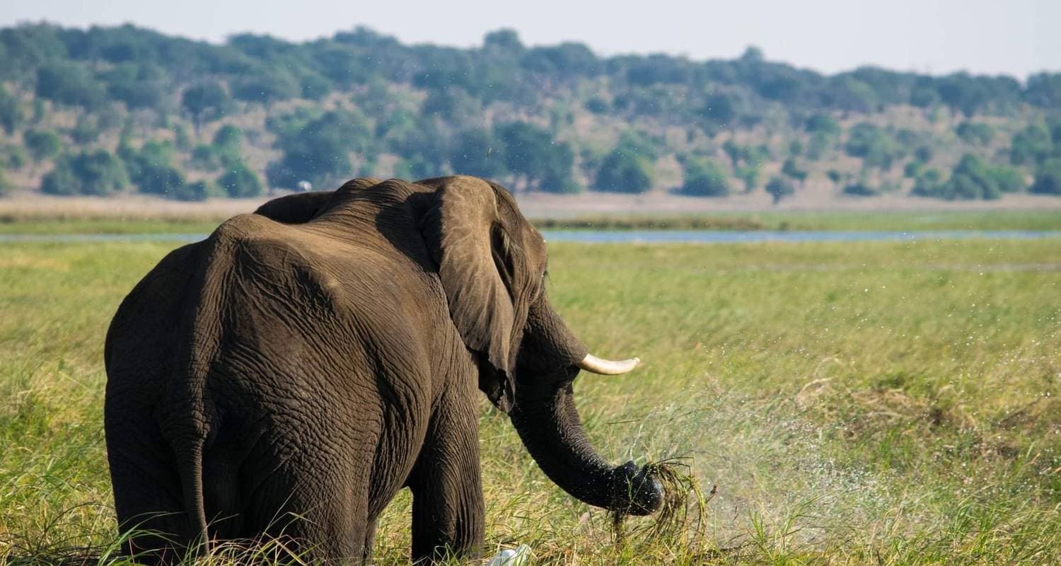 Cape Victoria Discovery Tour Chobe Victoria Falls, Kruger Park, Cape Town 12 Day/12 Night Including Inter-Tour Flights