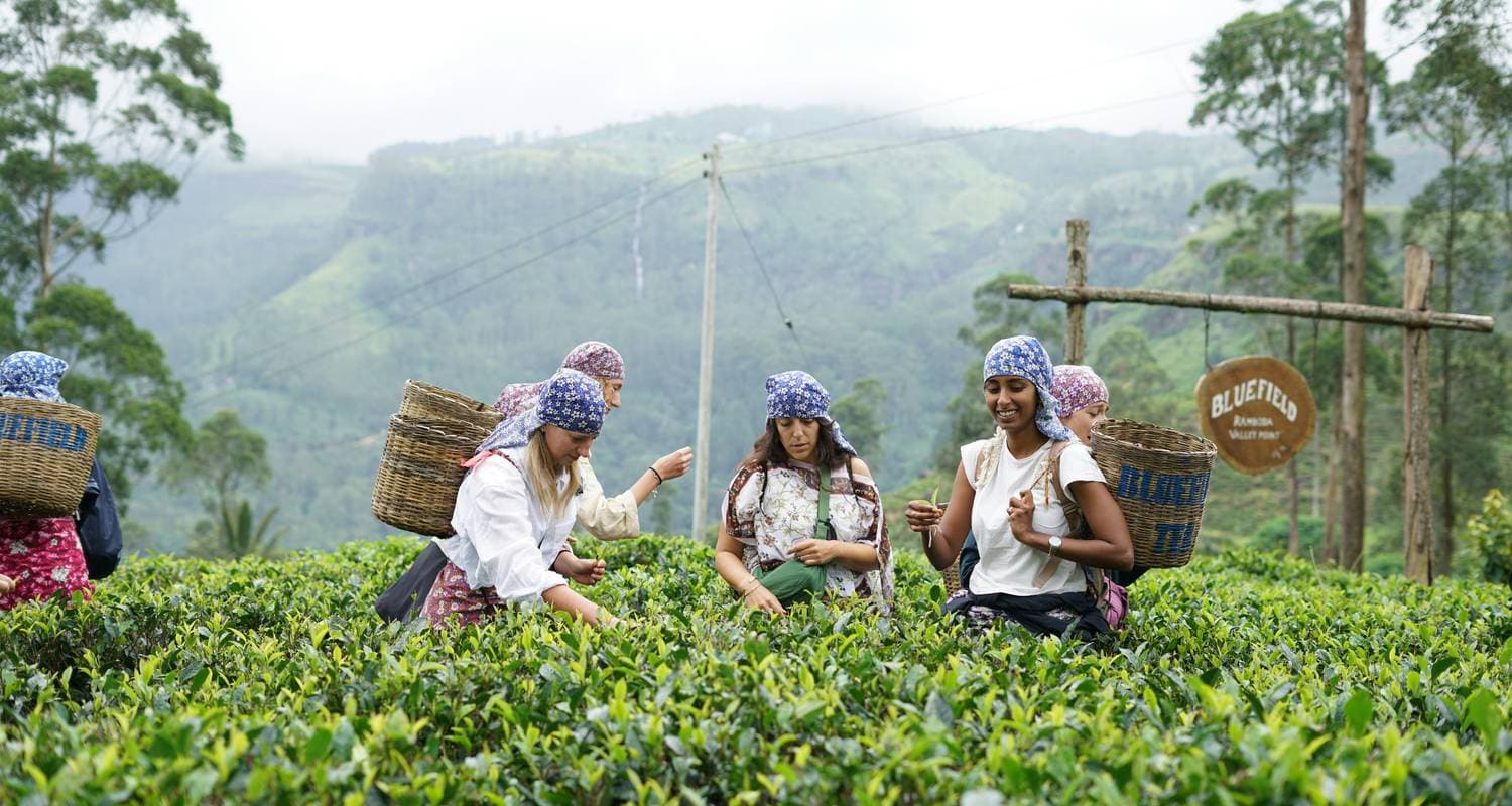 Cultural Treasures & Natural wonders, Sri Lanka's Splendorous path