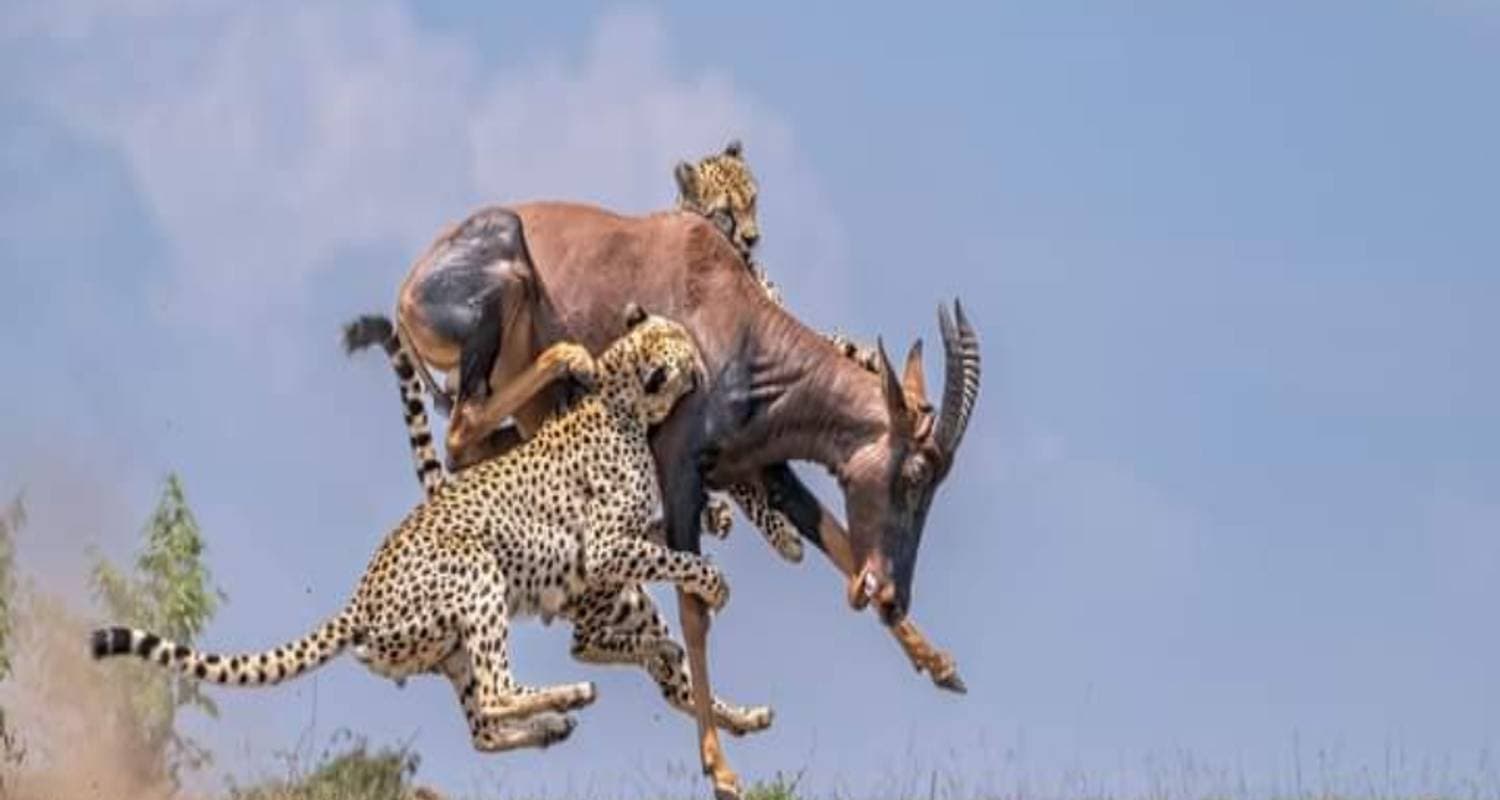 Kenya & Tanzania Combo Safari