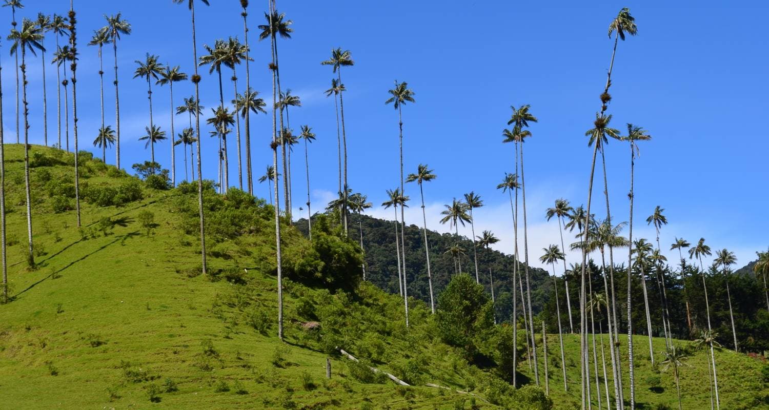 Colombia: Culture, Coffee & Caribbean