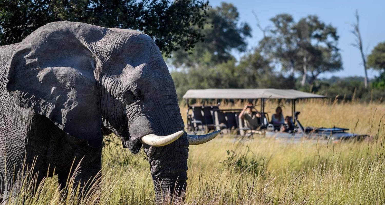 Budget Lower Zambezi National Park wildlife-focused safari (4 Days).