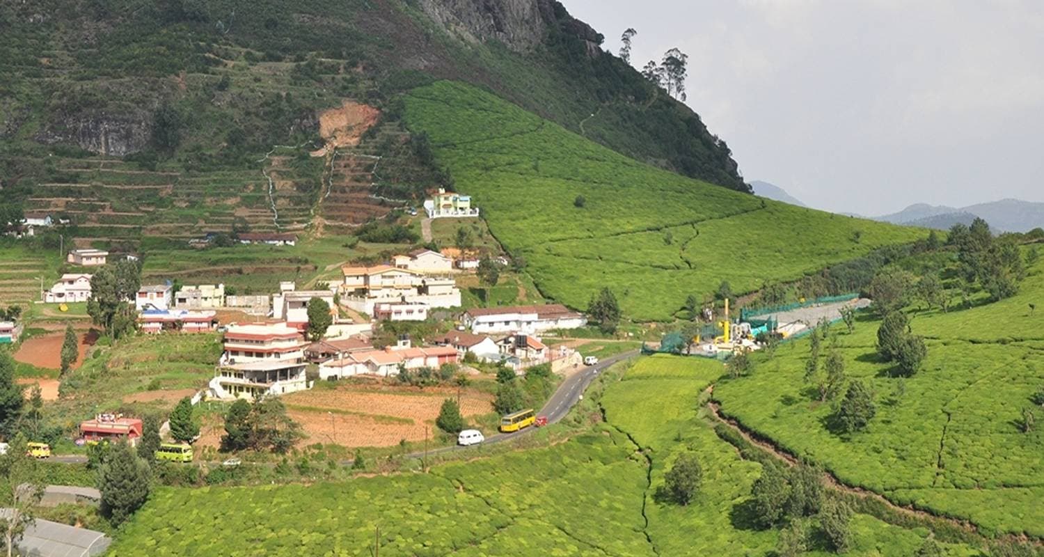 Revel in the Natural Beauty: A 4-day Bandipur Tour with Ooty & Coonoor(ALL INCLUSIVE)