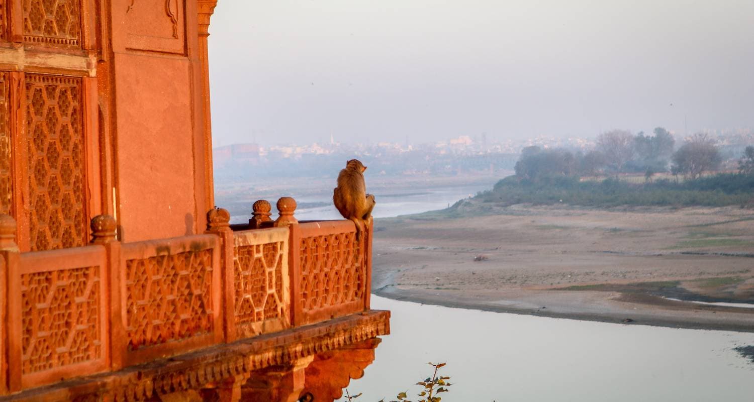 Taj Express