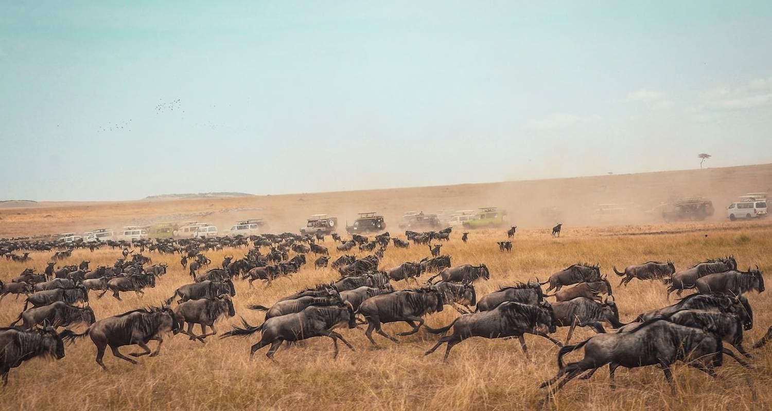 Serengeti National Park Safaris