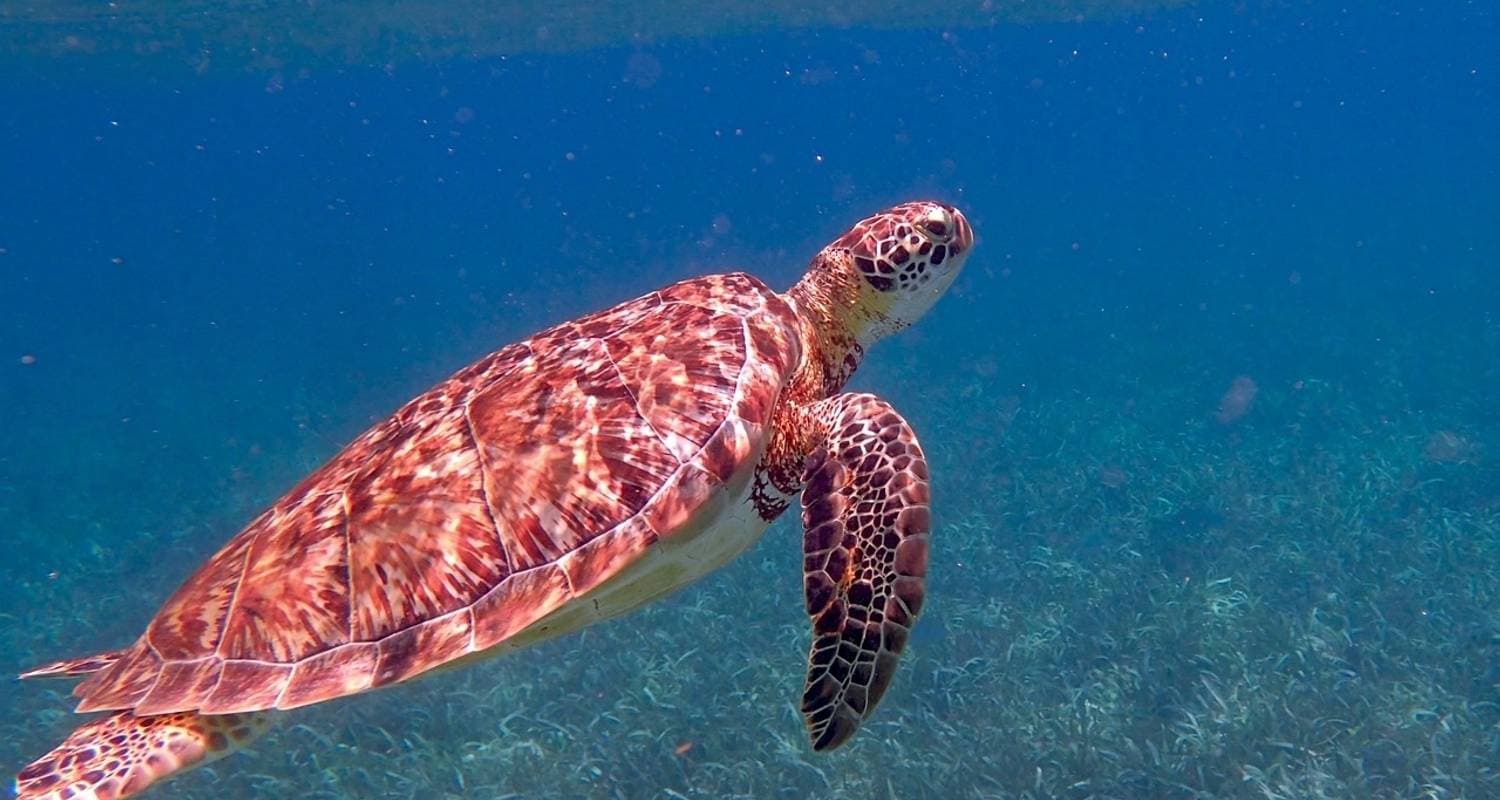 Belize Highlights Adventure 10 Days /