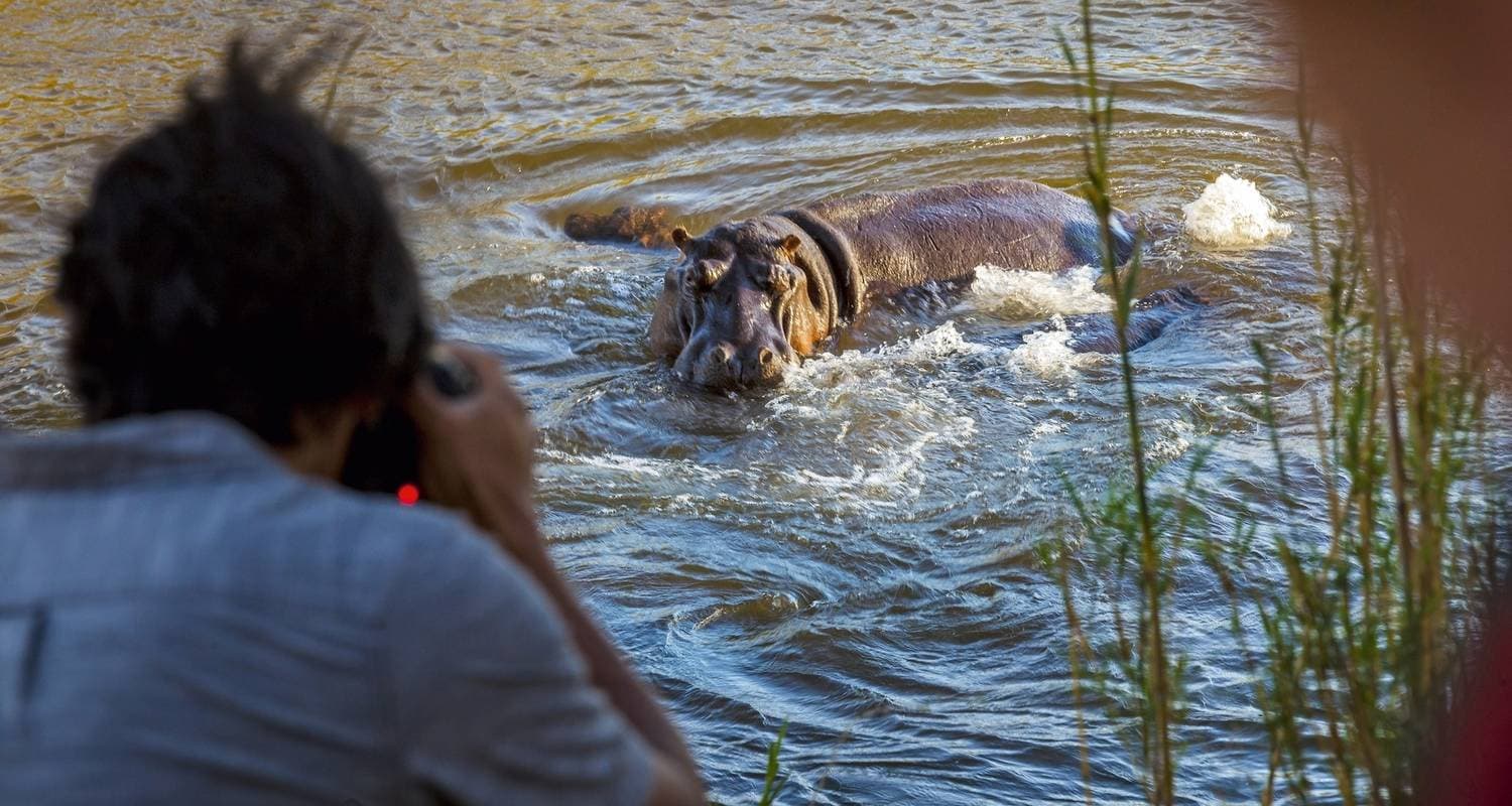 Tanzania Safari Experience