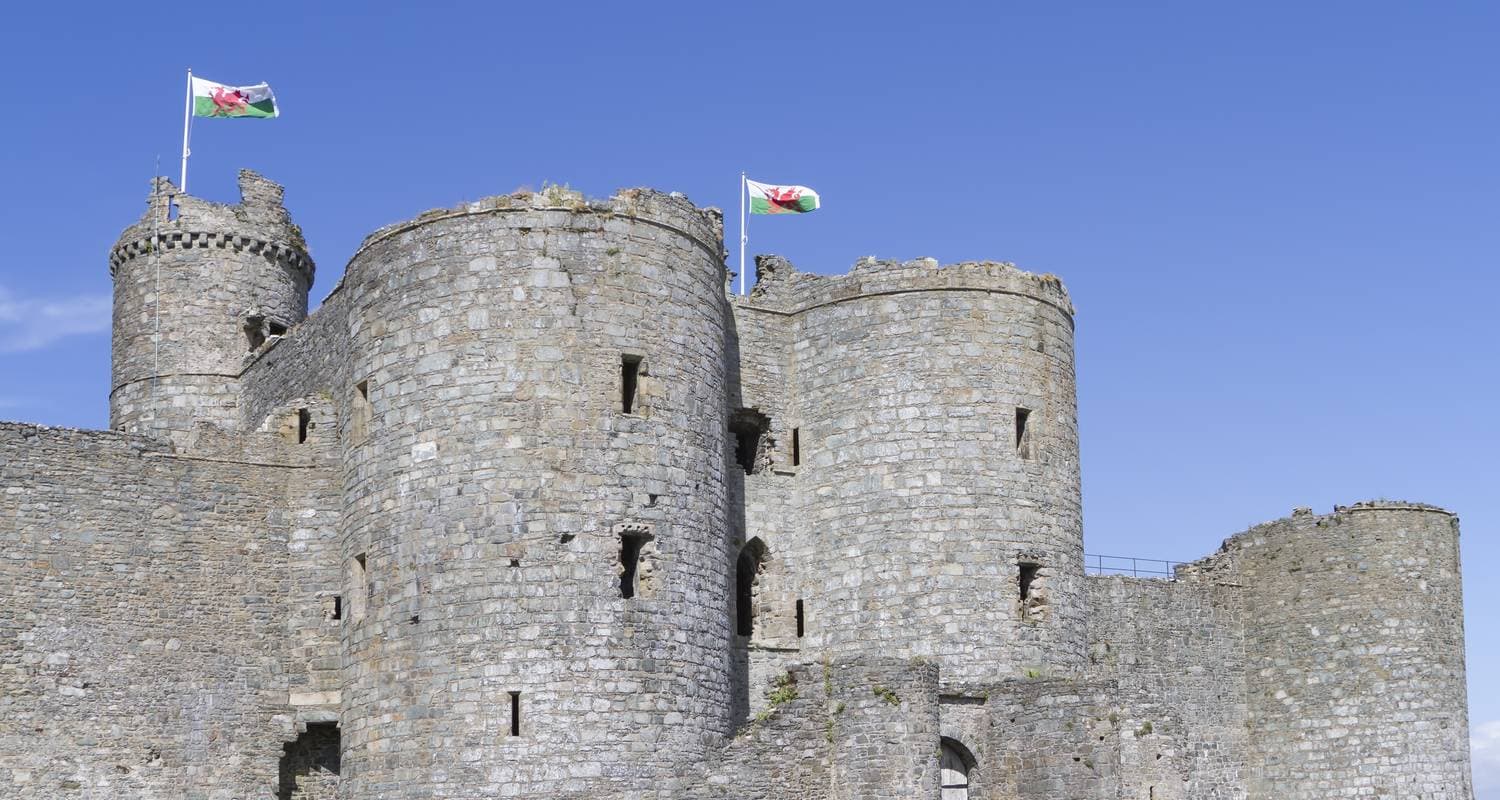 Welsh Wanderer