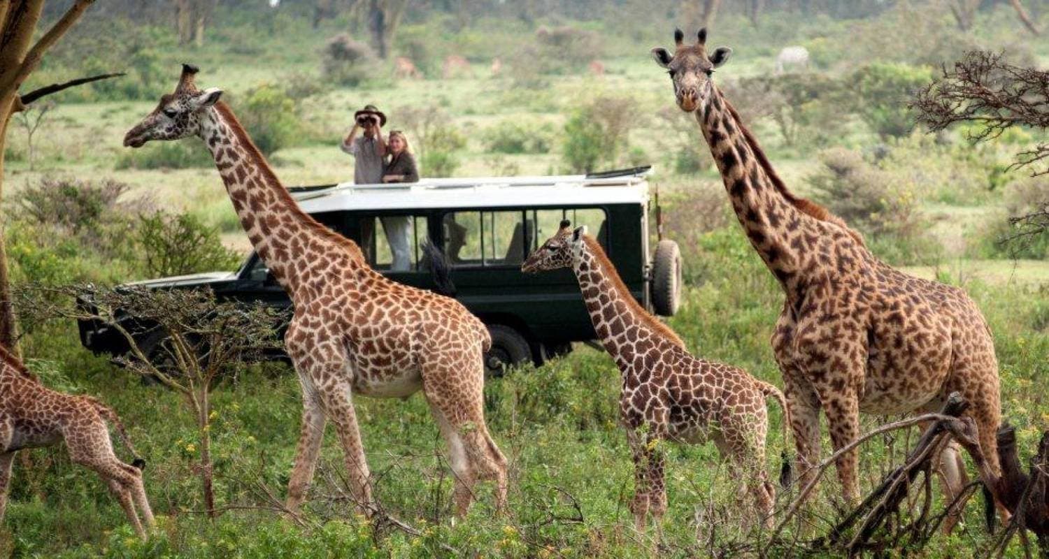 Great Serengeti Migration Safari *Tailor Made* Private Tour — photo 3