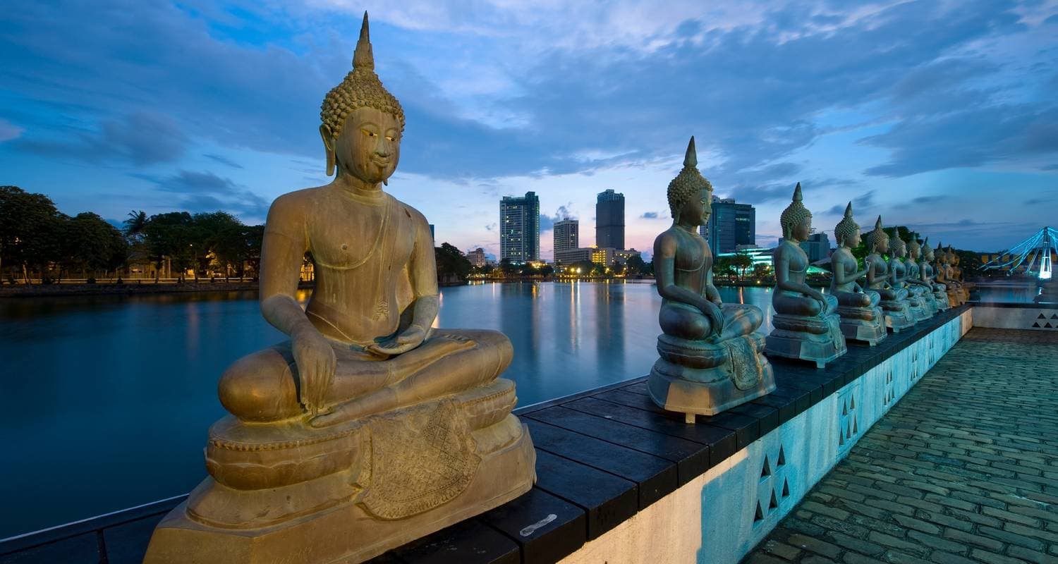 Sri Lanka's Rich Heritage, Tea Trails, Scenic train, Wildlife & Beaches W/Meals