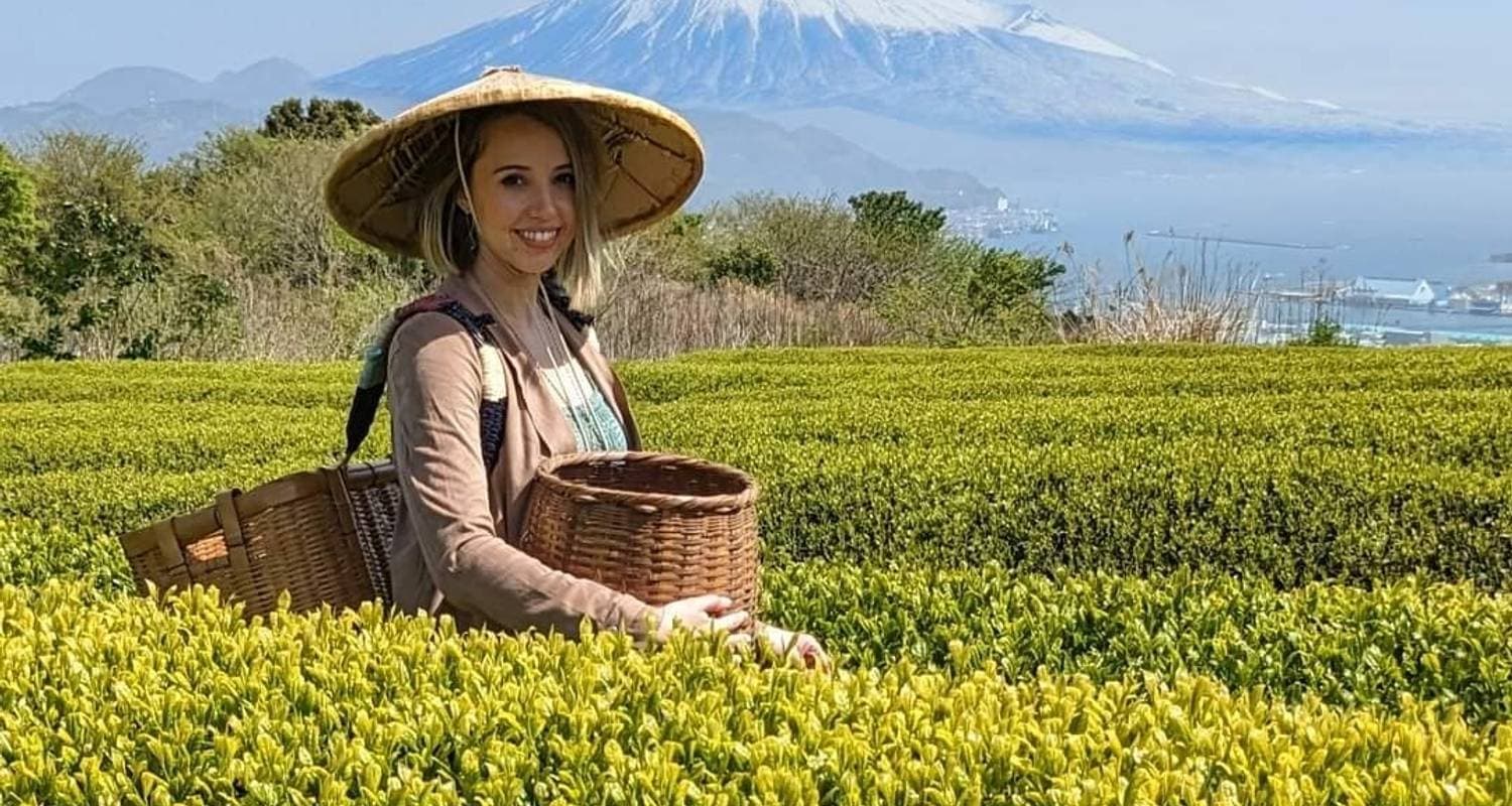 Highlights of Japan