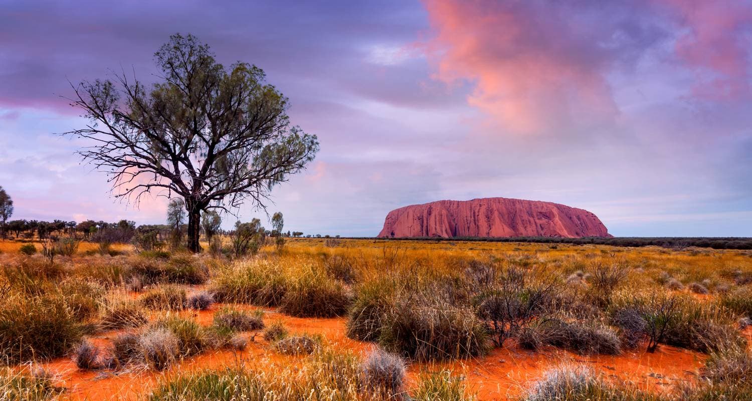 Uluru & Kata Tjuta Highlights (Superior, Short Break)