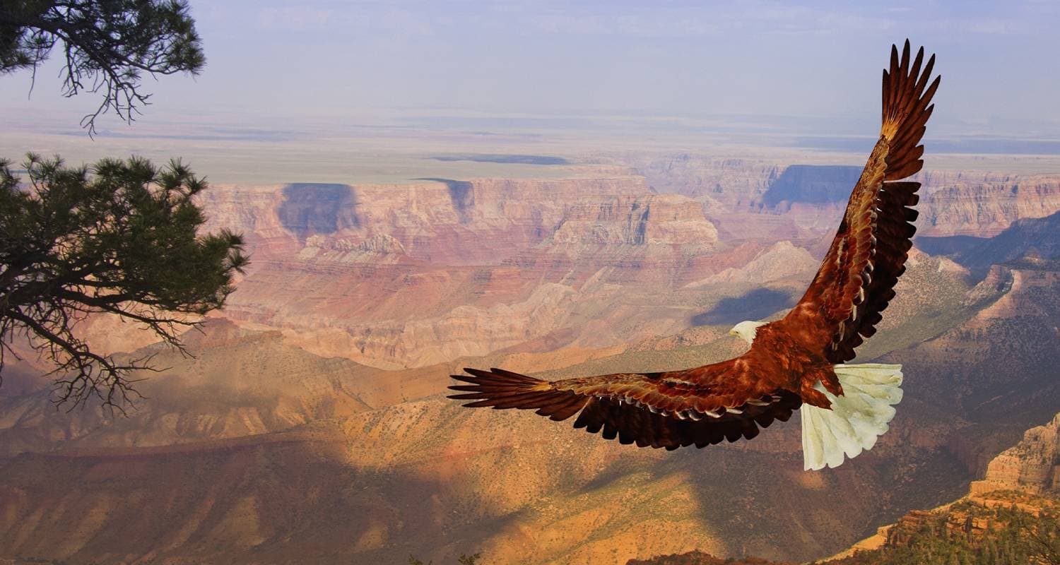 San Francisco to Grand Canyon & LA