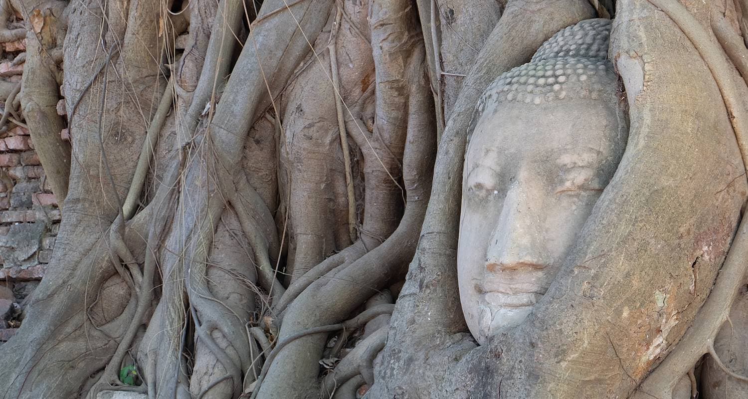 Bangkok to Chiang Mai Express — photo 3