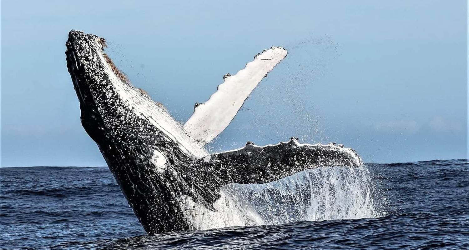 Private Cape Town Guided Vacation
