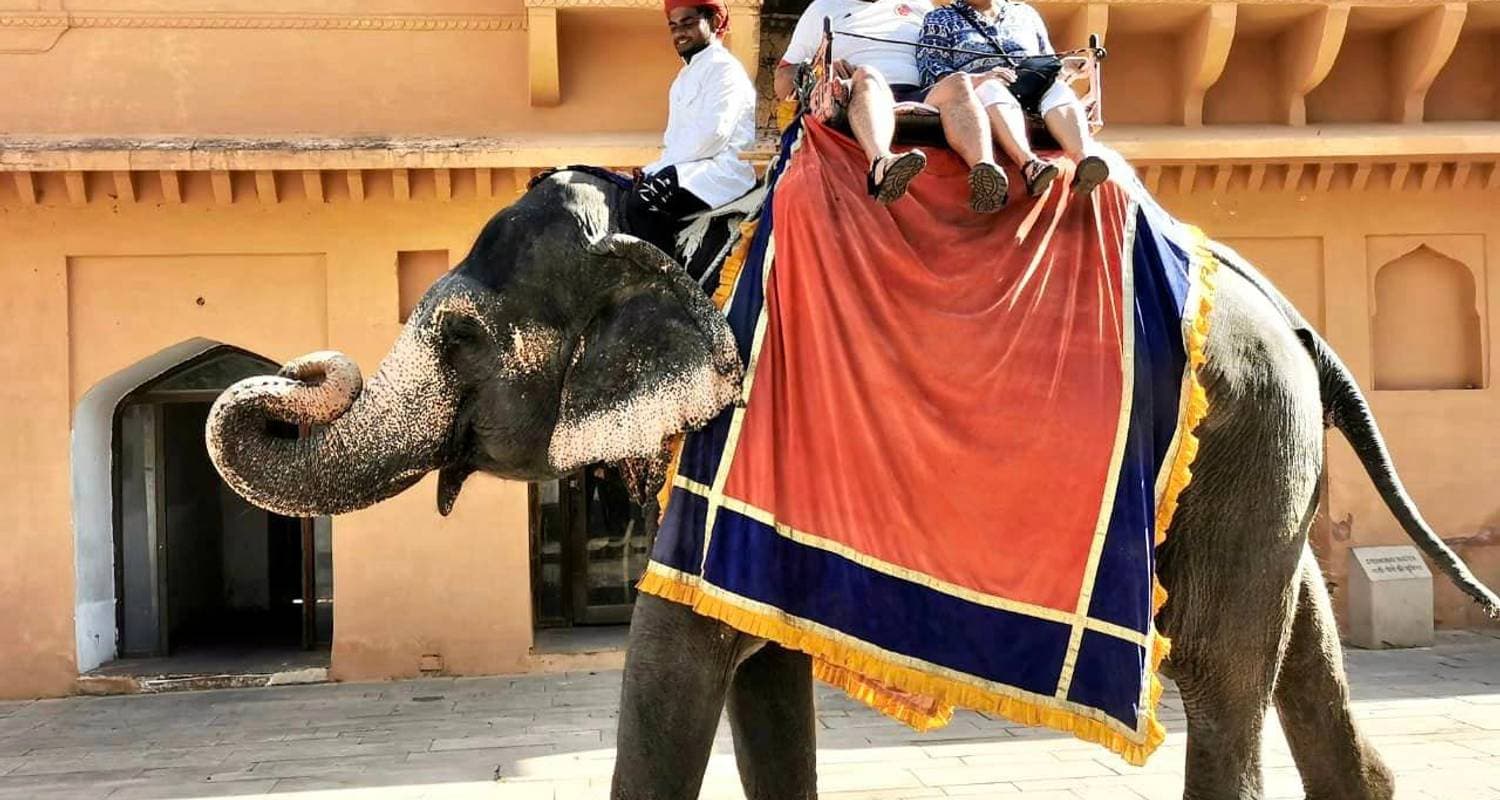 Golden Triangle with Tiger & Best of Kerala