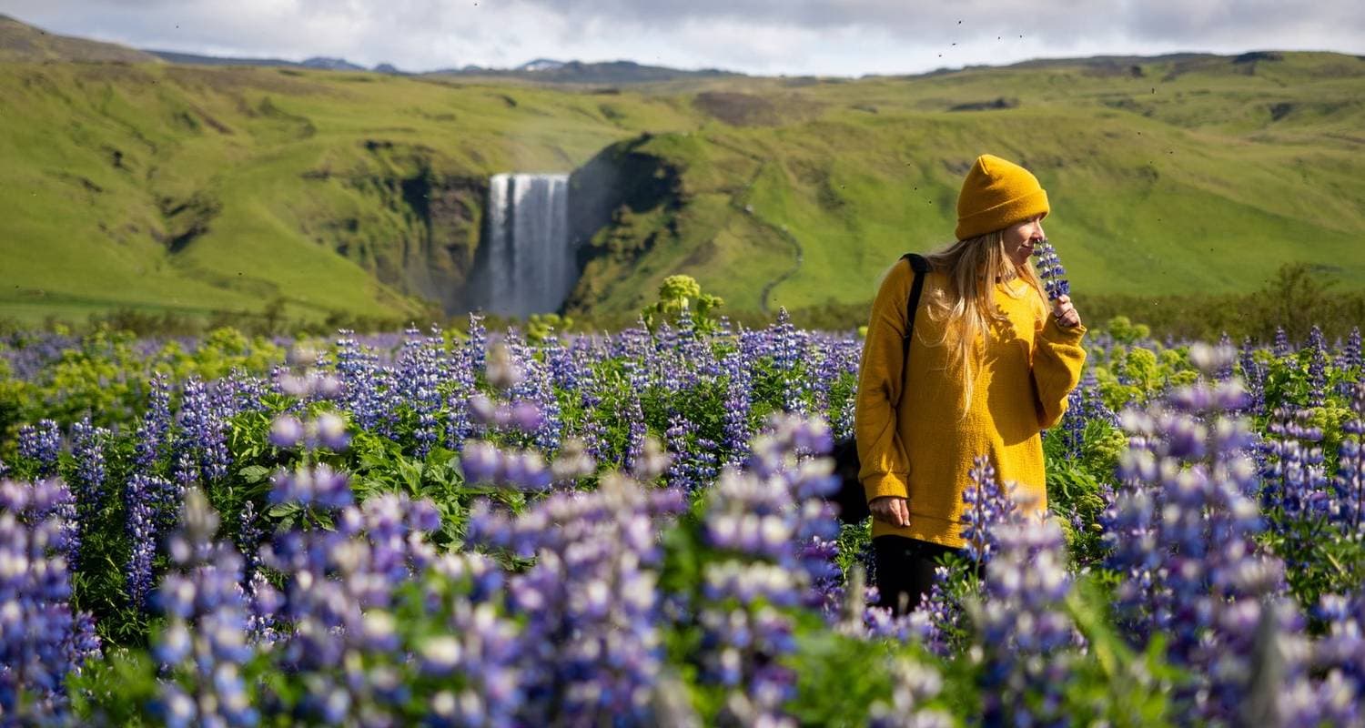 Small Group Journey Around Iceland with Premium Hotels