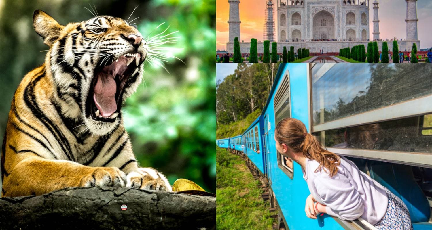 Golden Triangle Tour with Train Ride & Tigers - Delhi Agra Jaipur Ranthambore Tour