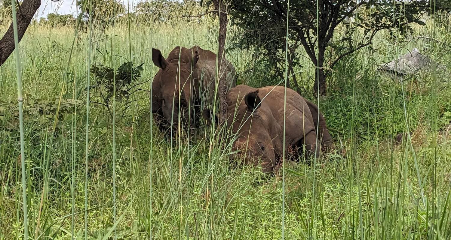Safari Experience In Lusaka National Park - Half-Day