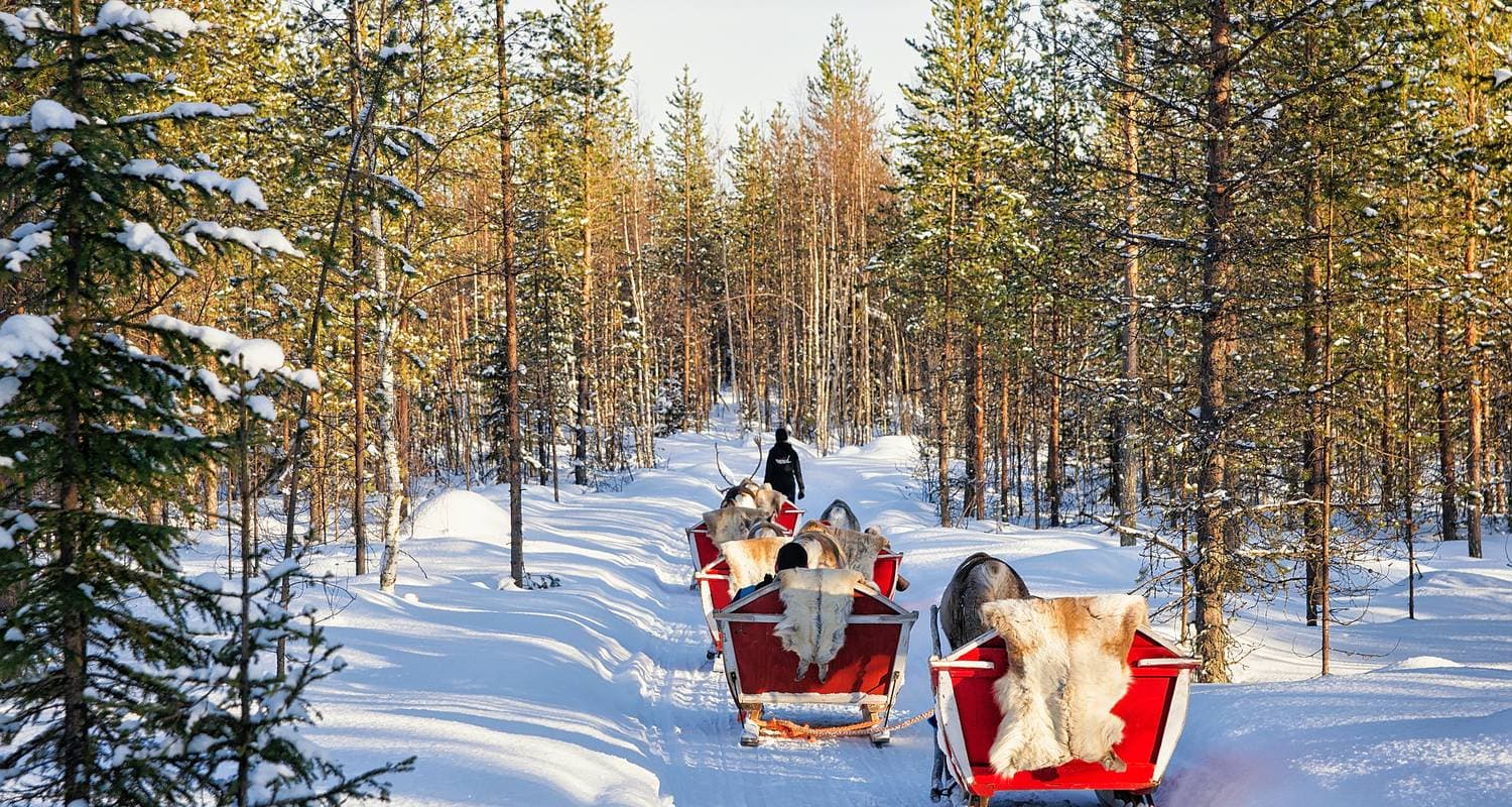 Rovaniemi Winter Adventure