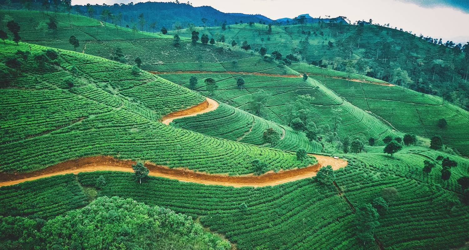 Comprehensive Sri Lankan Adventure