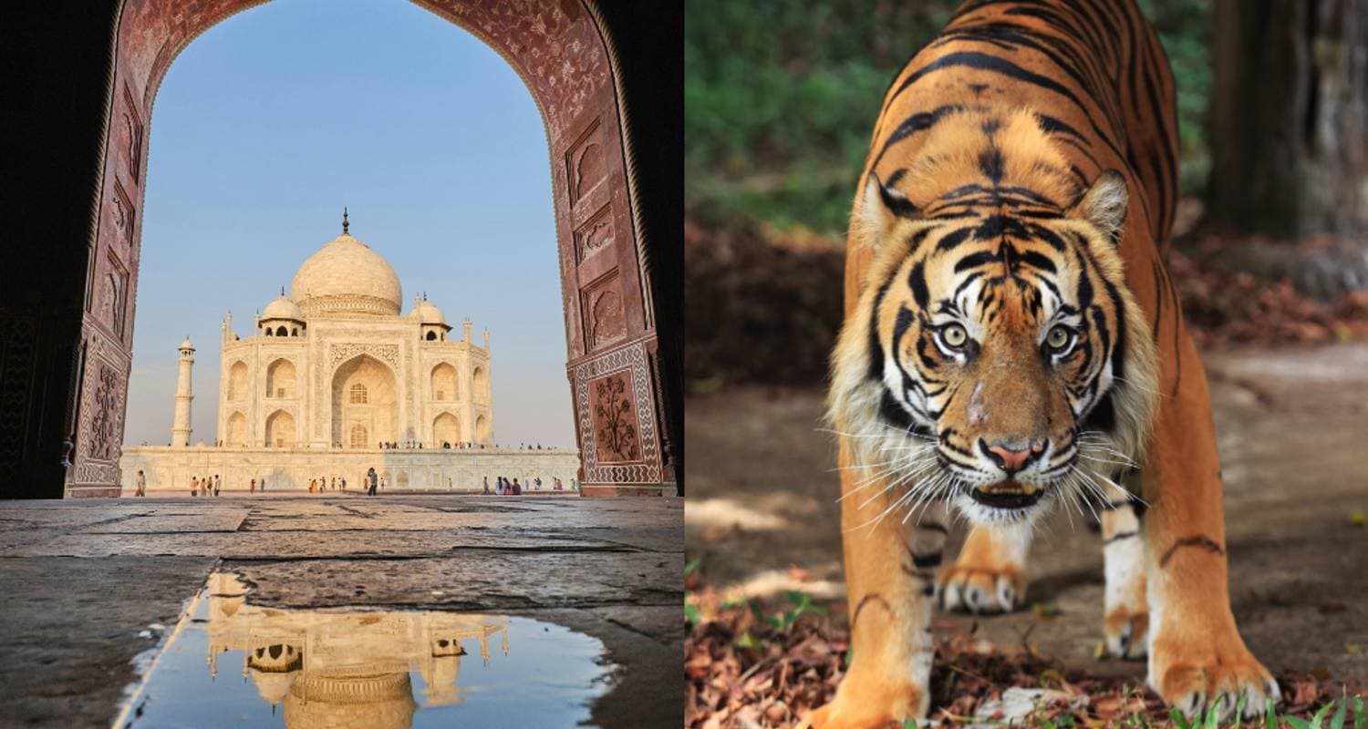Taj Mahal Tour with Ranthambore Tiger Safari