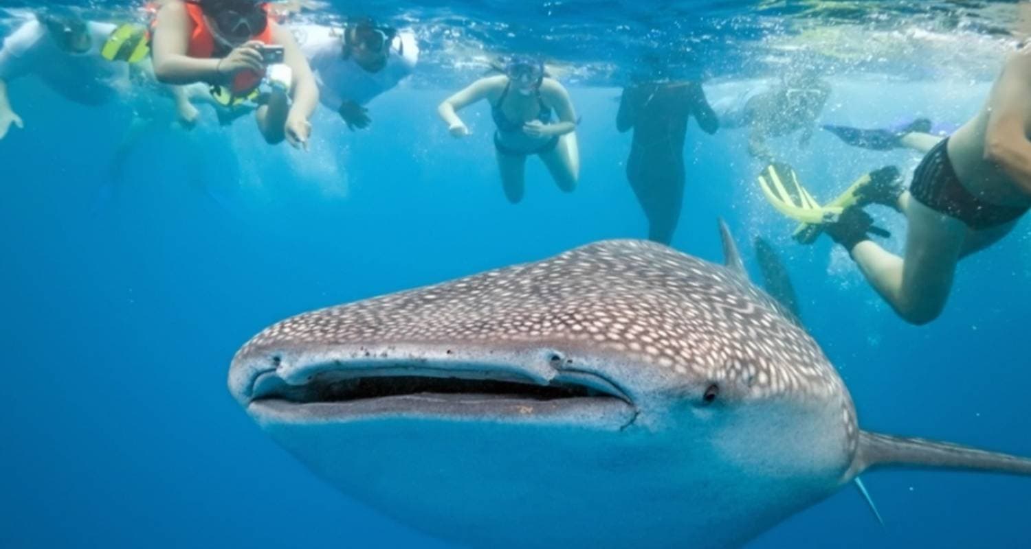 Panoramic Palawan Small Group Tour