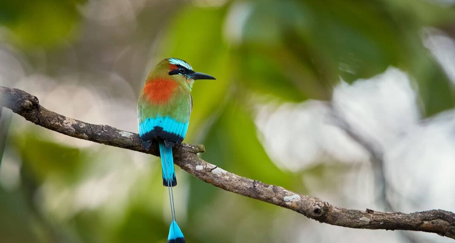 Discover Guatemala, Honduras & El Salvador