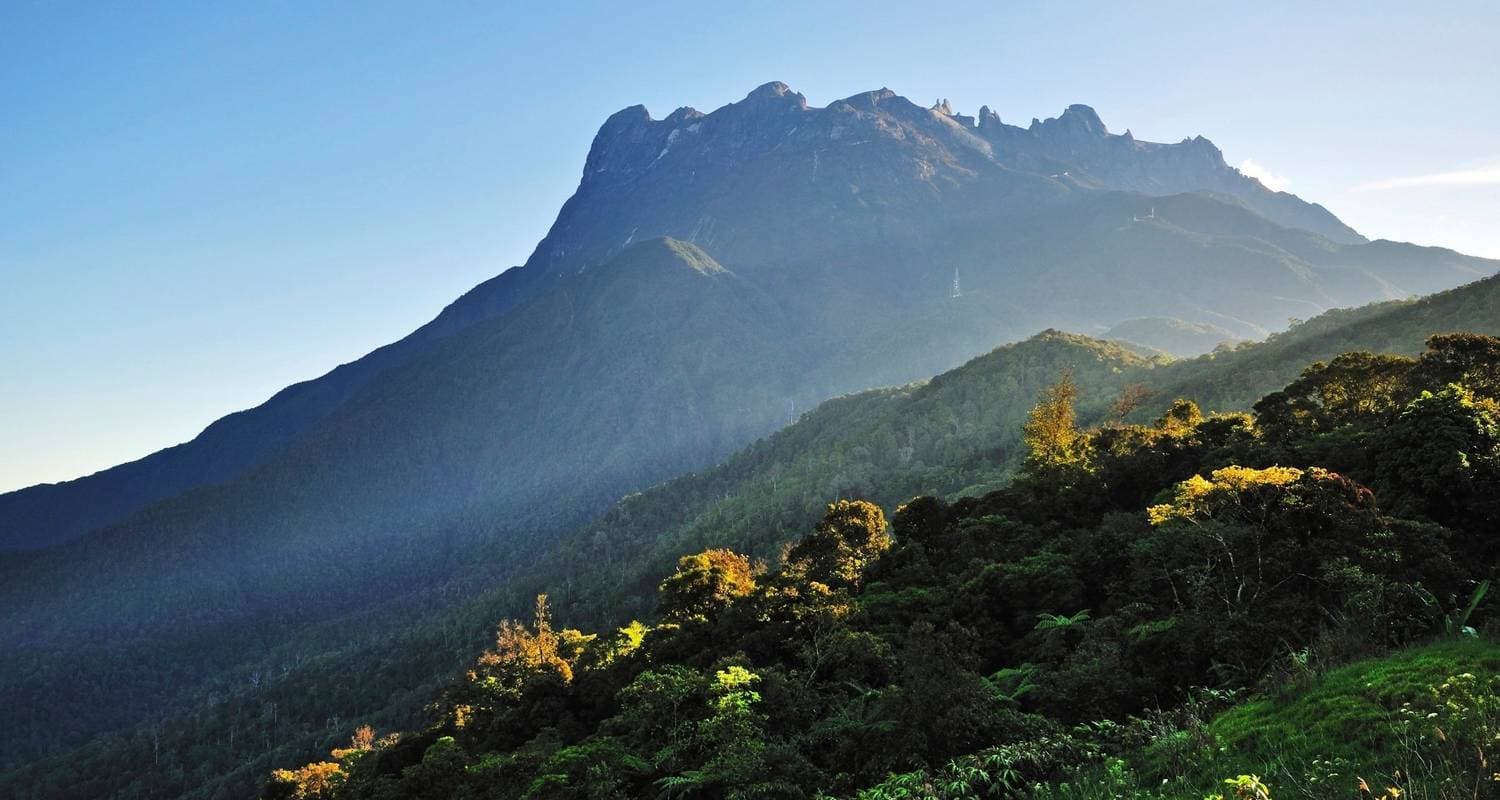 Borneo Wildlife Discoverer