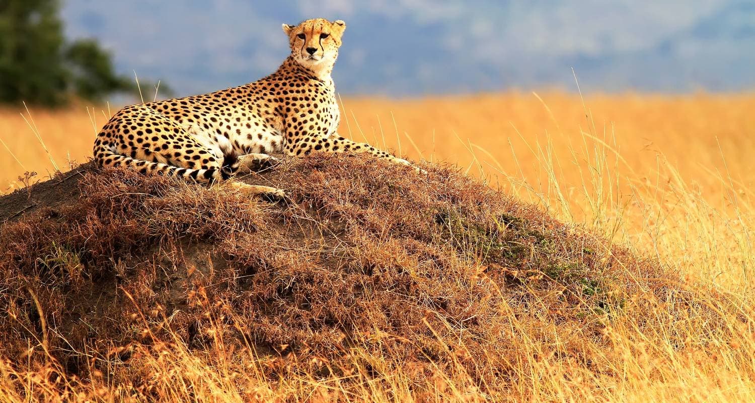 Kenya & Tanzania Adventure